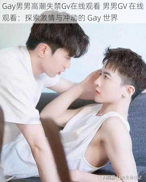 Gay男男高潮失禁Gv在线观看 男男GV 在线观看：探索激情与冲动的 Gay 世界