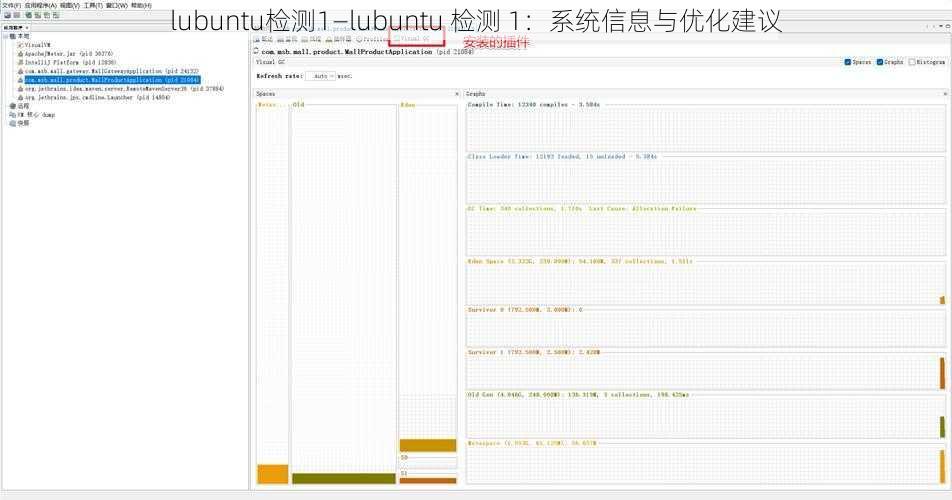 lubuntu检测1—lubuntu 检测 1：系统信息与优化建议