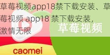 草莓视频app18禁下载安装、草莓视频 app18 禁下载安装，激情无限