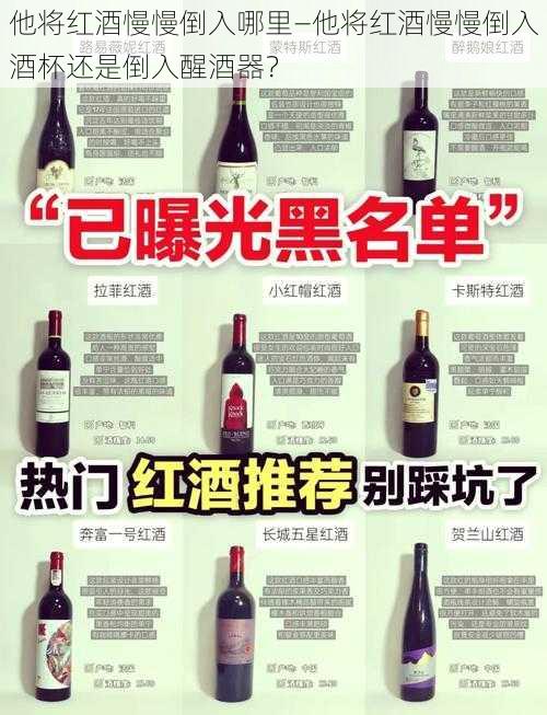 他将红酒慢慢倒入哪里—他将红酒慢慢倒入酒杯还是倒入醒酒器？