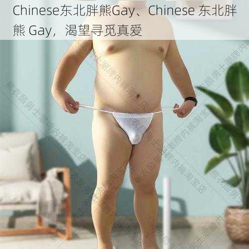 Chinese东北胖熊Gay、Chinese 东北胖熊 Gay，渴望寻觅真爱