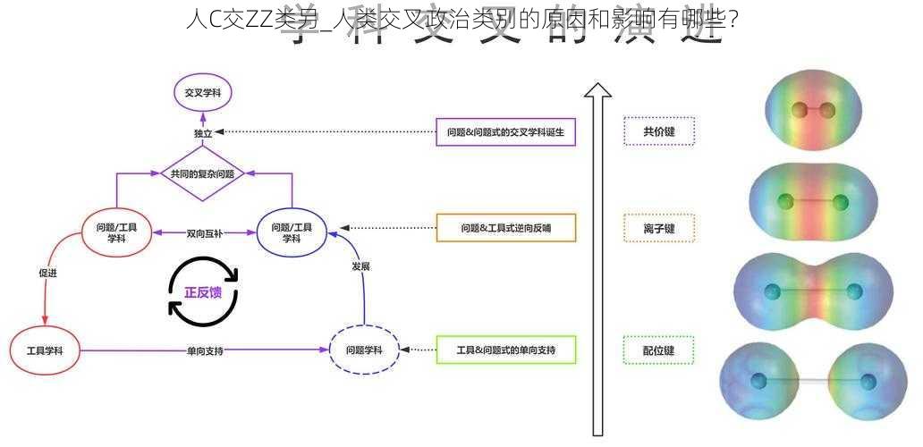 人C交ZZ类另_人类交叉政治类别的原因和影响有哪些？