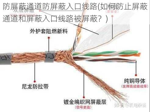 防屏蔽通道防屏蔽入口线路(如何防止屏蔽通道和屏蔽入口线路被屏蔽？)