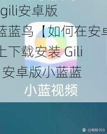 Giligili安卓版小蓝蓝鸟【如何在安卓设备上下载安装 Giligili 安卓版小蓝蓝鸟】