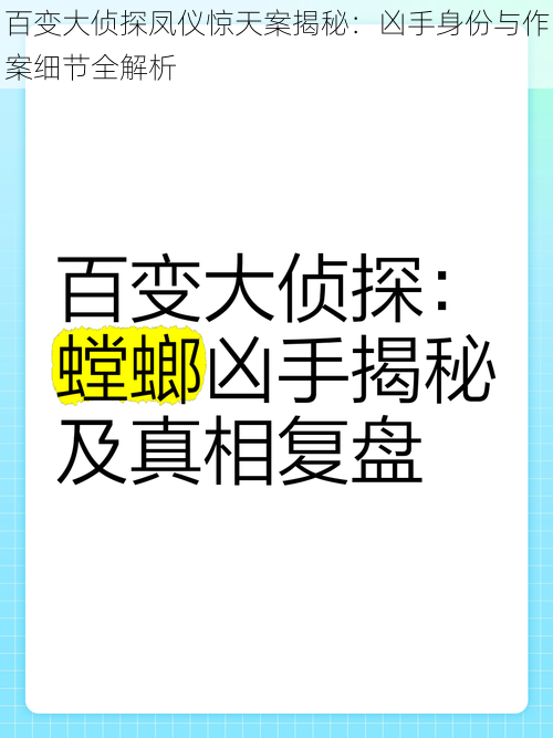 百变大侦探凤仪惊天案揭秘：凶手身份与作案细节全解析