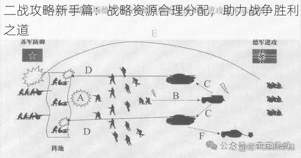 二战攻略新手篇：战略资源合理分配，助力战争胜利之道