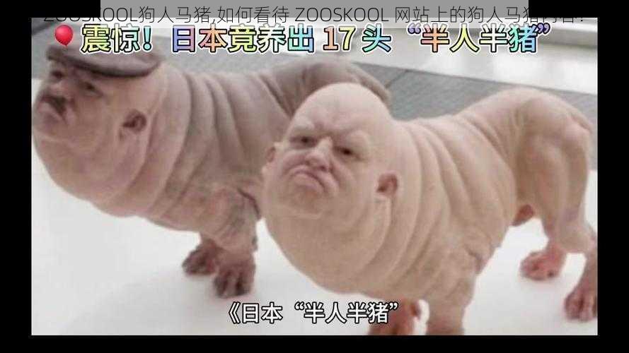 ZOOSKOOL狗人马猪,如何看待 ZOOSKOOL 网站上的狗人马猪内容？