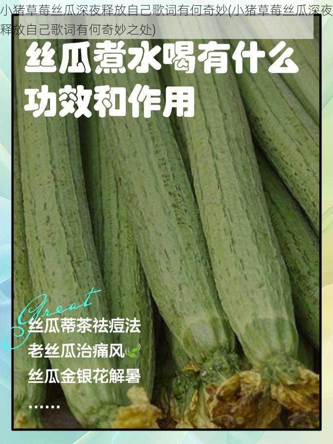 小猪草莓丝瓜深夜释放自己歌词有何奇妙(小猪草莓丝瓜深夜释放自己歌词有何奇妙之处)