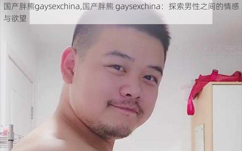 国产胖熊gaysexchina,国产胖熊 gaysexchina：探索男性之间的情感与欲望