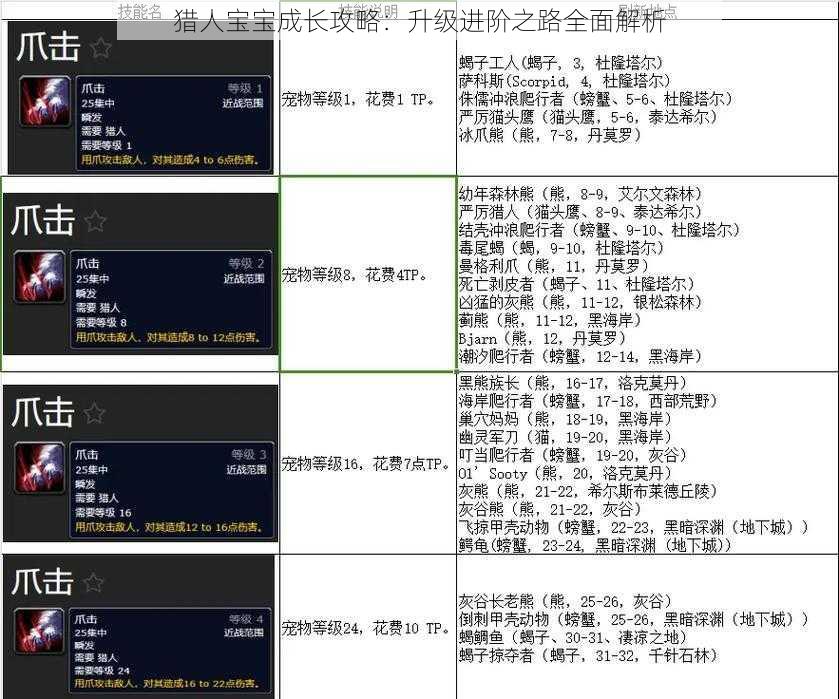 猎人宝宝成长攻略：升级进阶之路全面解析