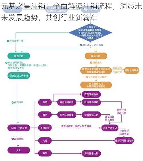 元梦之星注销：全面解读注销流程，洞悉未来发展趋势，共创行业新篇章