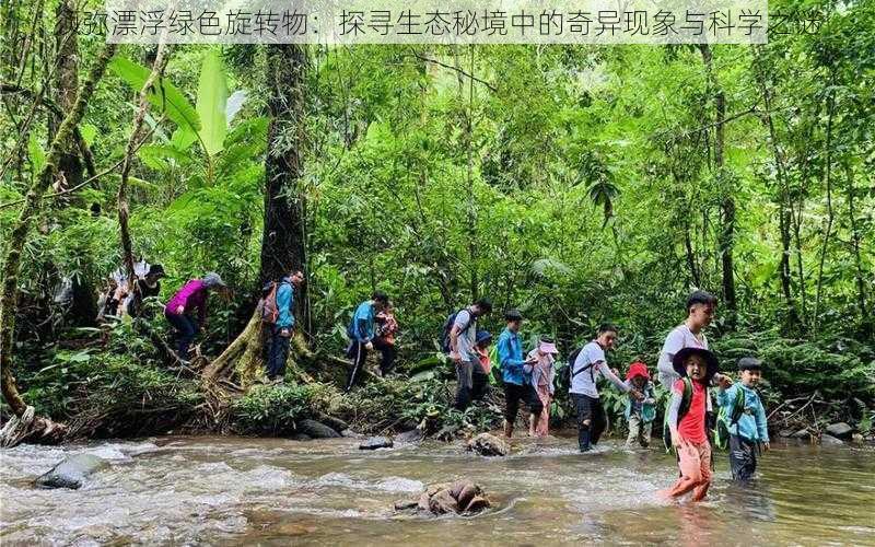 须弥漂浮绿色旋转物：探寻生态秘境中的奇异现象与科学之谜