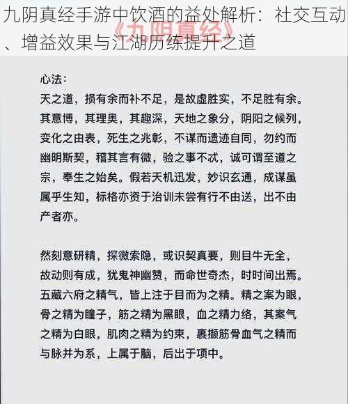 九阴真经手游中饮酒的益处解析：社交互动、增益效果与江湖历练提升之道